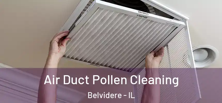  Air Duct Pollen Cleaning Belvidere - IL
