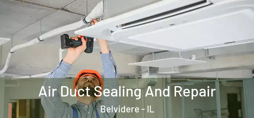  Air Duct Sealing And Repair Belvidere - IL