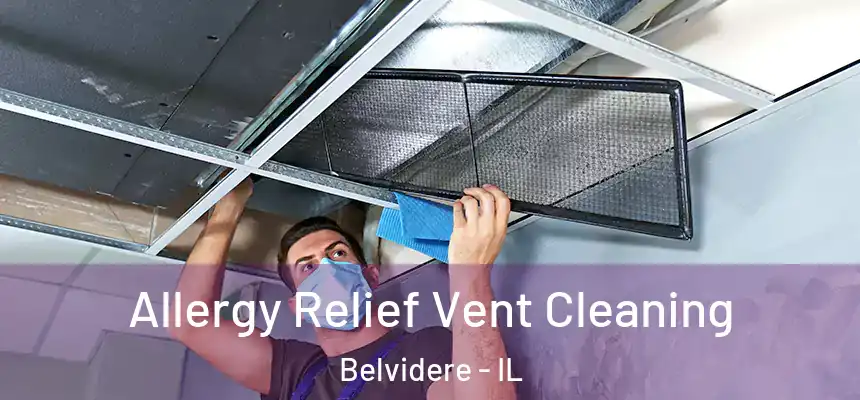  Allergy Relief Vent Cleaning Belvidere - IL
