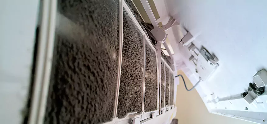 Preventive Air Duct Bacteria Removal in Belvidere