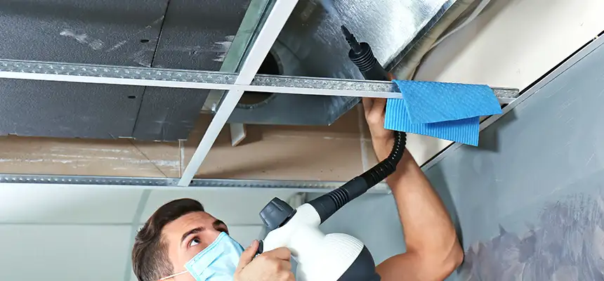 Our Air Duct Rodent Removal Services in Belvidere, IL