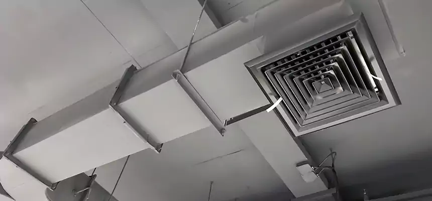 Restorative Allergy Relief Vent Cleaning – Coil, Blower & Housing Detail in Belvidere