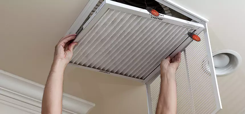 Our Insect Removal from Air Ducts Services in Belvidere, IL