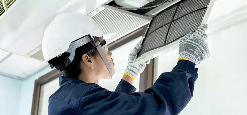 Our Mold & Mildew Removal from Air Ducts Services in Belvidere, IL