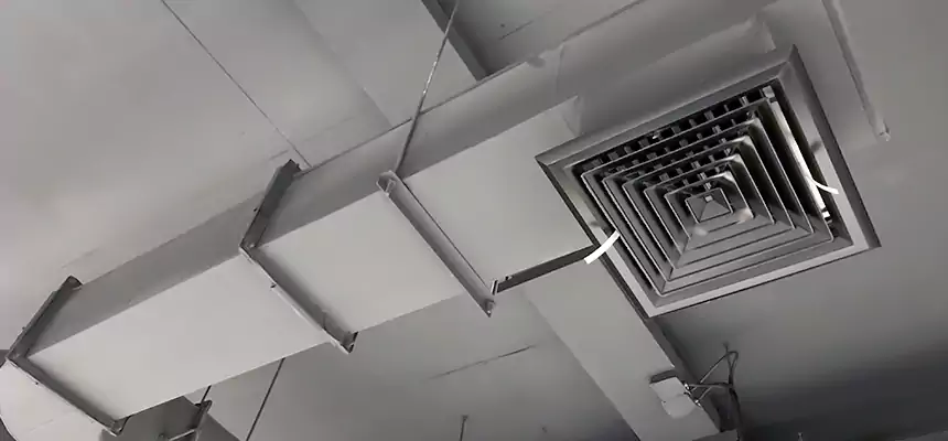 Our Pest Removal From Ducts Services in Belvidere, IL