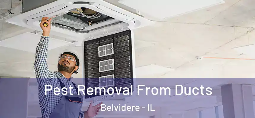  Pest Removal From Ducts Belvidere - IL