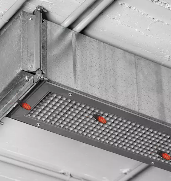 About Air Duct Cockroach Removal in Belvidere, IL