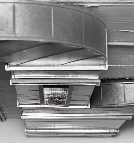 Professional Air Duct Pet Hair Removal in Belvidere, IL