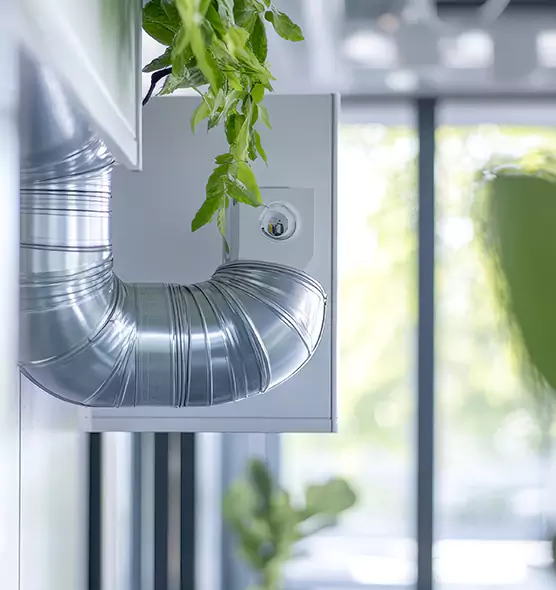 Professional Eco-Friendly Duct Cleaning Services in Belvidere, IL