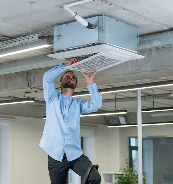 Advanced Rodent Droppings In Vents in Belvidere, IL