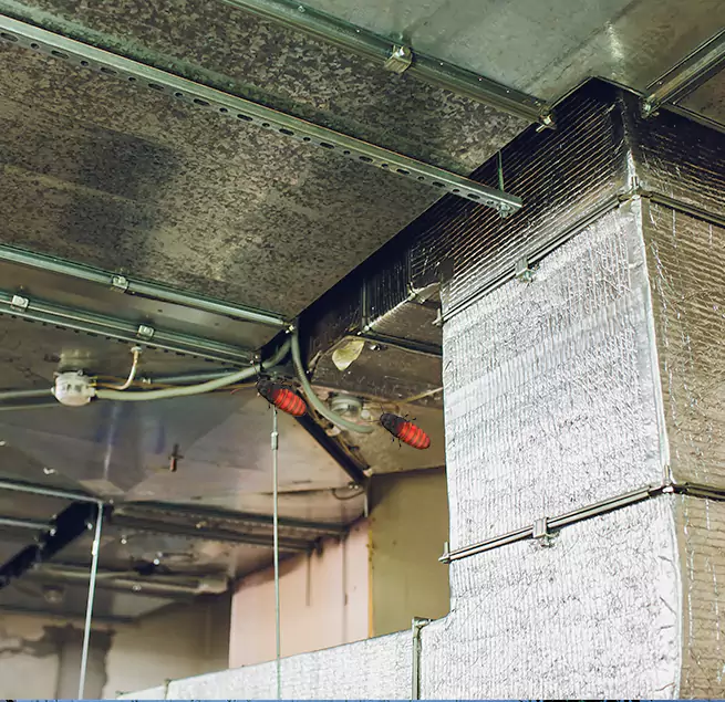 Why Homeowners & Businesses Trust Us in Belvidere, IL?