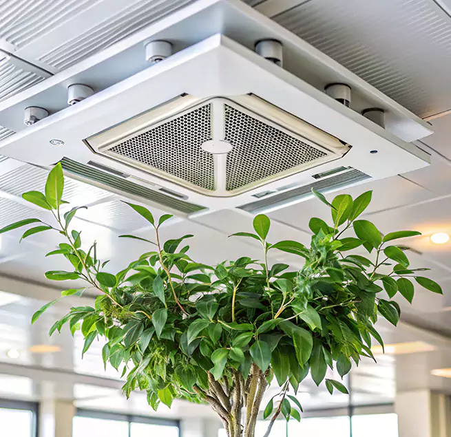 Why Homeowners & Businesses Trust Us in Belvidere, IL?