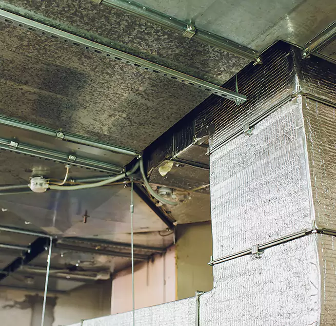 Why Homeowners & Businesses Trust Us in Belvidere, IL?