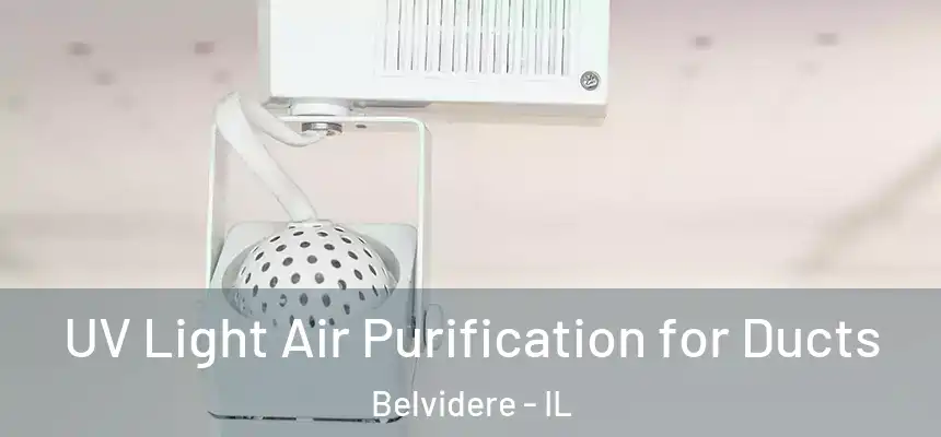  UV Light Air Purification for Ducts Belvidere - IL